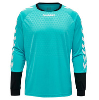 Hummel Goalkeeper Sweatshirt blue