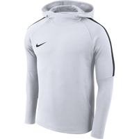 Nike Dry Academy Hoodie men's sweatshirt AH9608-100