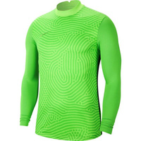 Nike Park IV Goalkeeper Sweatshirt CJ6066-702