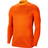 Nike Park IV Goalkeeper Sweatshirt CJ6066-702