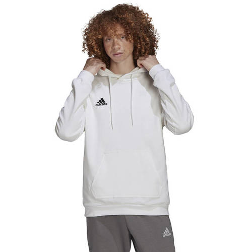 Adidas Entrada 22 Hoody Hoodie HG6302