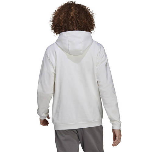 Adidas Entrada 22 Hoody Hoodie HG6302