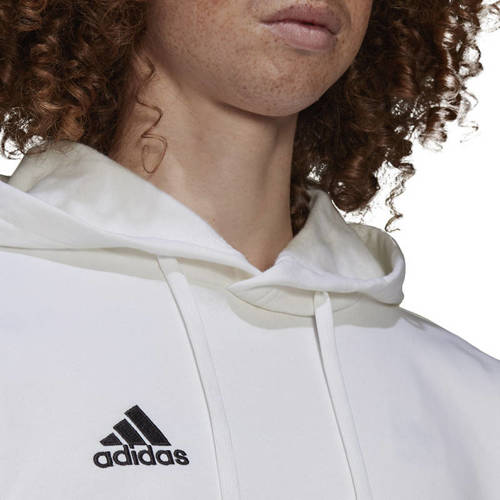 Adidas Entrada 22 Hoody Hoodie HG6302