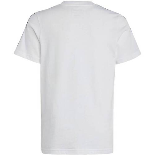 Adidas Essentials 3-Stripes Cotton Tee IC0605 White T-Shirt for PE  