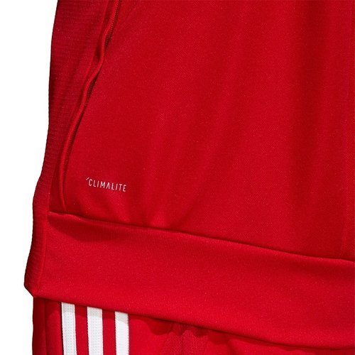 Adidas Tiro 19 sweatshirt D95953