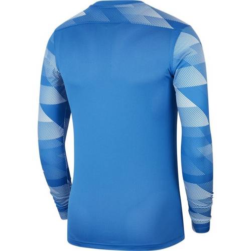 Children's Goalkeeper Sweatshirt Nike Park IV Junior CJ6072-463