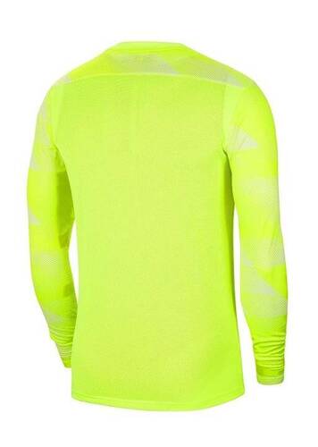 Children's Goalkeeper Sweatshirt Nike Park IV Junior CJ6072-702