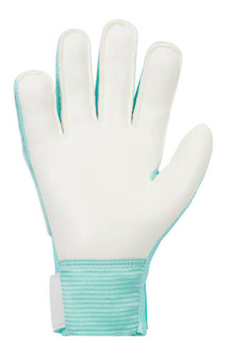 Nike Junior Match Goalkeeper Gloves FJ4864-010