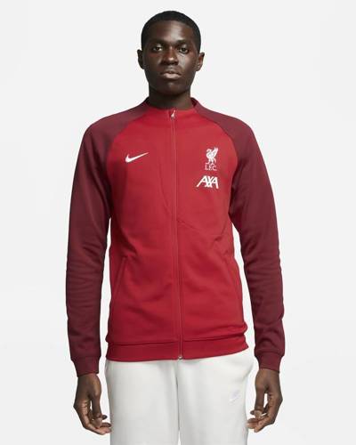 Nike Liverpool FC Academy Pro sweatshirt DV5050-687