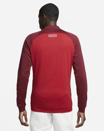 Nike Liverpool FC Academy Pro sweatshirt DV5050-687