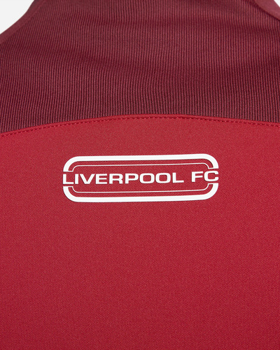 Nike Liverpool FC Academy Pro sweatshirt DV5050-687