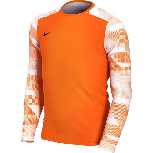 Nike Park IV Junior Children's Goalkeeper Sweatshirt CJ6072-819