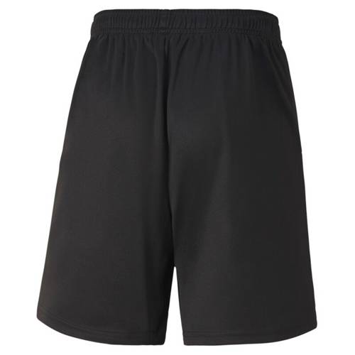 Puma teamGoal children's shorts 704263-03