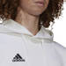 Adidas Entrada 22 Hoody Hoodie HG6302