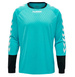 Hummel Goalkeeper Sweatshirt blue