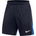 Nike Academy Pro Men's Shorts DH9236-451