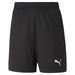 Puma teamGoal children's shorts 704263-03