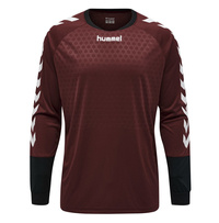 Adidas Tiro 23 Wettbewerb Torwart Sweatshirt HK7694