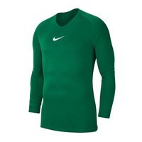 Nike Dry Park Erstes Schicht-Thermo-T-Shirt AV2609-302