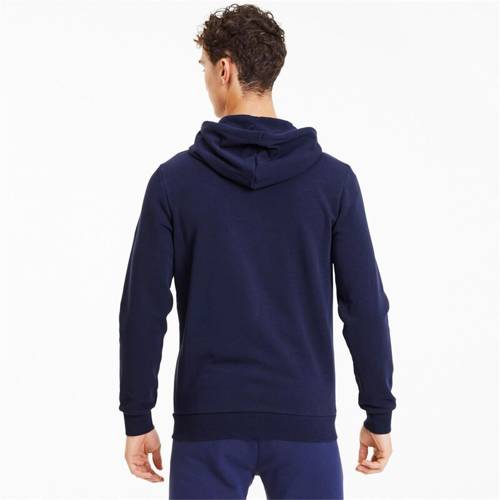 Herren Kapuzenpulli Puma teamGoal 23 656708-06