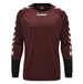 Adidas Tiro 23 Wettbewerb Torwart Sweatshirt HK7694