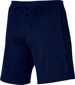 Nike Academy 23 Sportshorts für Kinder