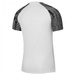 Nike Academy Herren T-Shirt DH8031-104