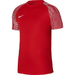 Nike Academy Herren Trikot DH8031-657