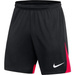 Nike Academy Pro Herren-Shorts DH9236-013