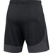 Nike Academy Pro Herren-Shorts DH9236-014