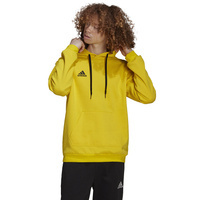 Adidas Entrada 22 Hoody Hoodie HI2140