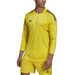 Adidas Tiro 23 Competition Goalkeeper Sweatshirt HK7694