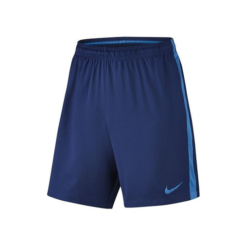 Nike Dry Football Shorts 807682-455