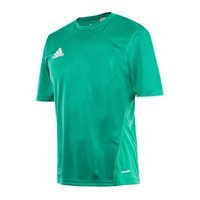 Koszulka adidas Core 15 Training S22395