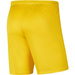 Nike Junior Park III Children's Shorts BV6865-719