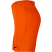 Nike Junior Park III Children's Shorts BV6865-819