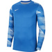 Children's Goalkeeper Sweatshirt Nike Park IV Junior CJ6072-463