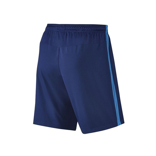 Nike Dry Football Shorts 807682-455