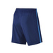 Nike Dry Football Shorts 807682-455