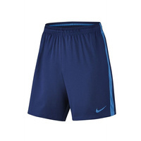 Nike Dry Fußball-Shorts 807682-455