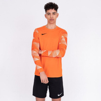 Bluza bramkarska Dziecięca Nike Park IV Junior CJ6072-819